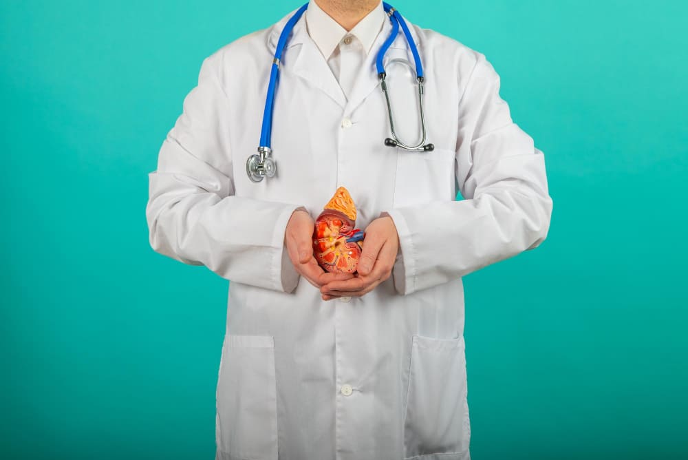 kidney transplant rejection