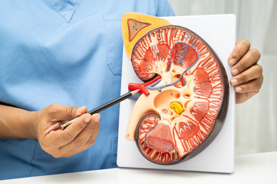 Post Kidney Transplant Care