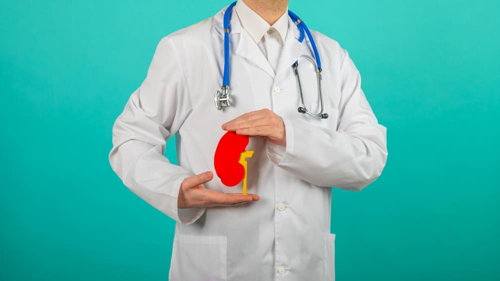kidney transplant rejection