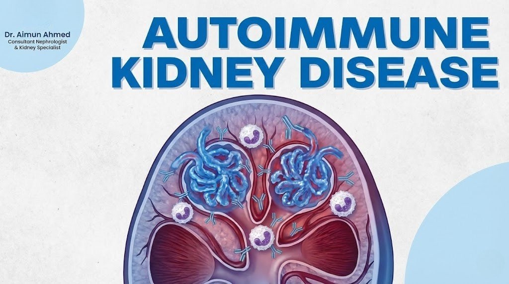 autoimmune kidney disease